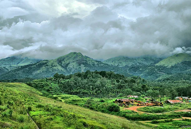 Wayanad