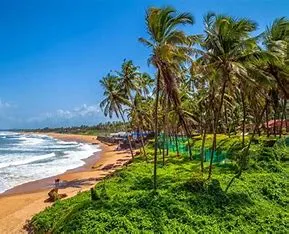 Goa
